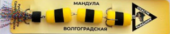 Мандула обычная тройная Цвет ЖЧЖ