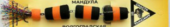 Мандула обычная тройная Цвет ЧОЧ