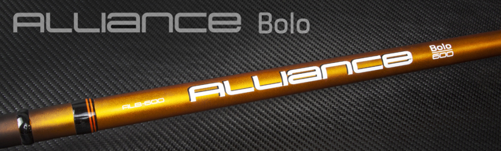 Image_Alliance_Bolo.jpg Image_Alliance_Bolo.jpg